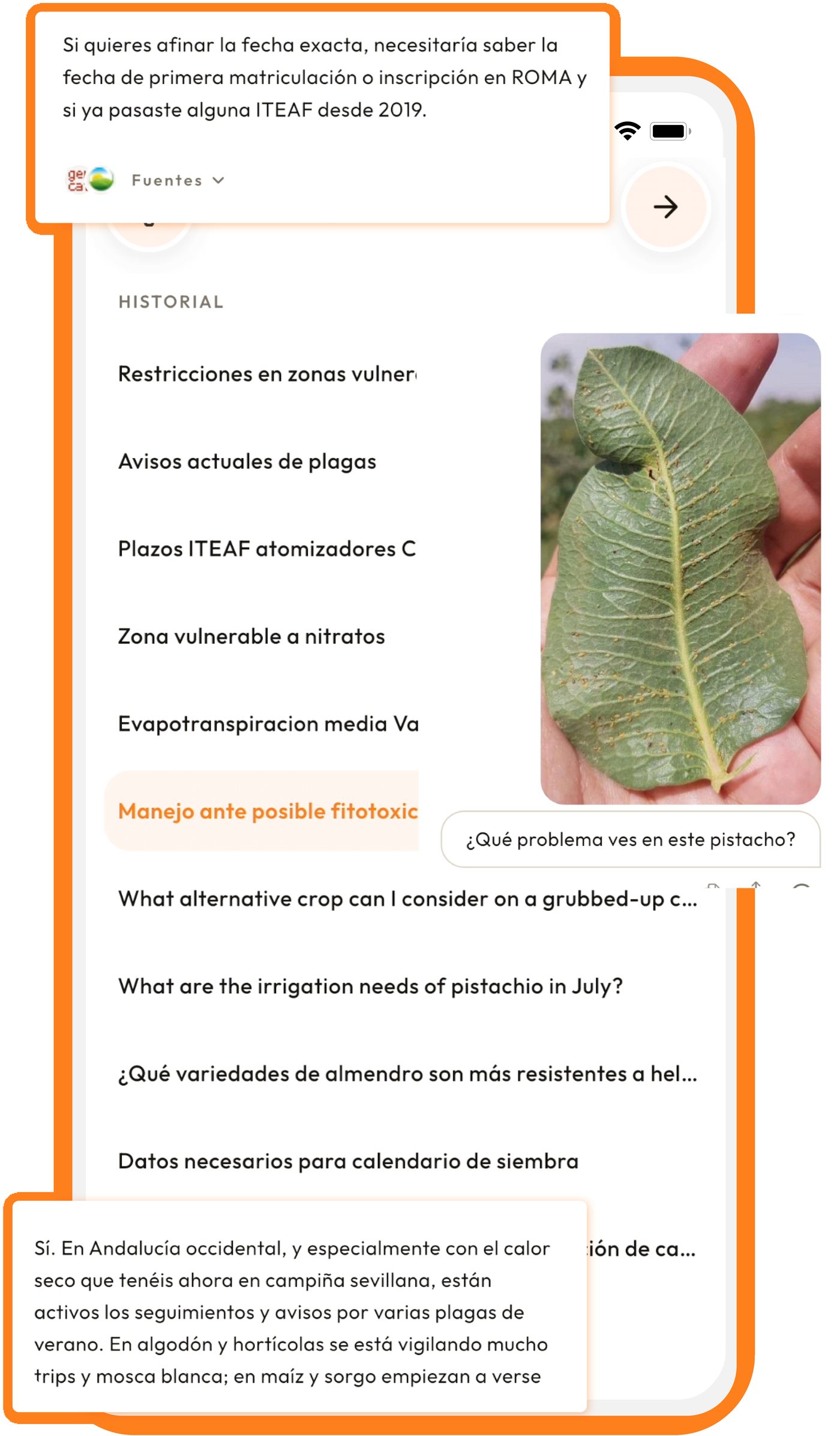 Consulta sobre sanidad vegetal resuelta desde el movil en campo