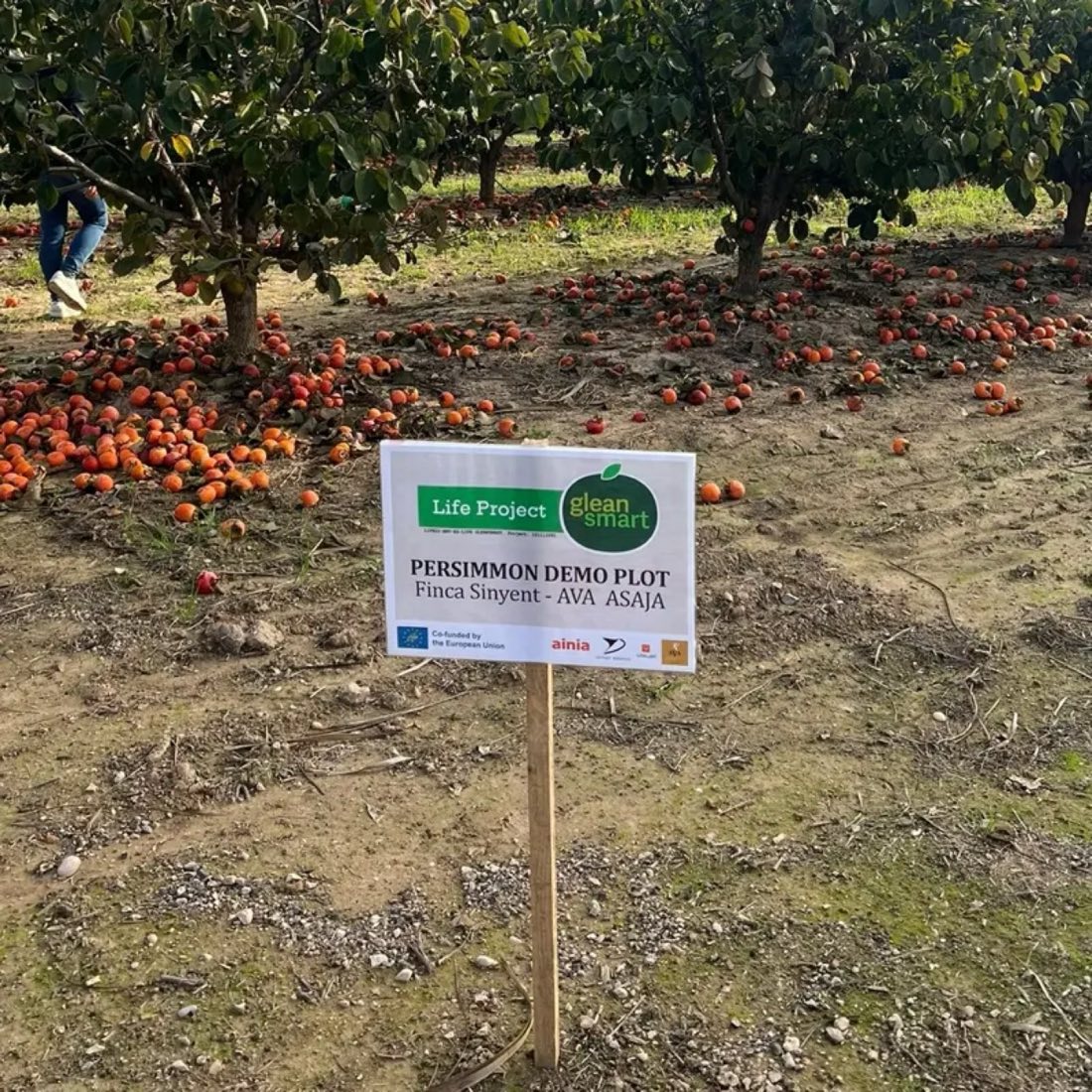 GleanSmart: innovando en la reducción del desperdicio alimentario