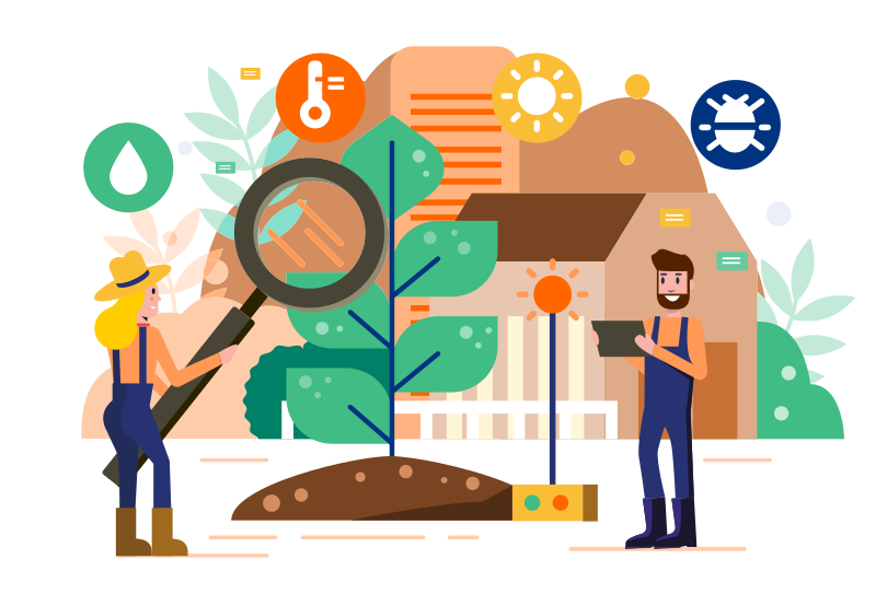 visual software agricola app web